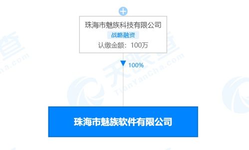 珠海市魅族软件注销 解读其在计算机网络及软件技术开发领域的转型与影响