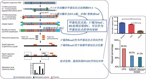 基因检测产品的诞生之初 肿瘤早筛技术热点与计算机网络及软件开发的双轮驱动